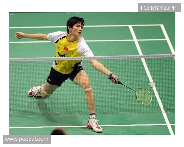 杨磊独家分享羽毛球技巧与心得助你提升球技的全面指南