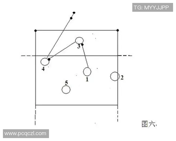 杭州排球队战术表现深度分析与数据解读探讨