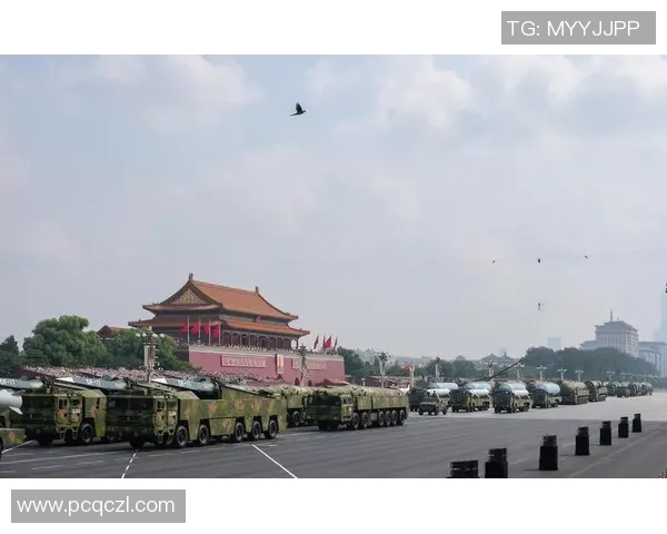 武汉排球队的奋斗历程与荣耀时刻全景纪实 武汉排球队的奋斗历程与荣耀时刻全景纪实