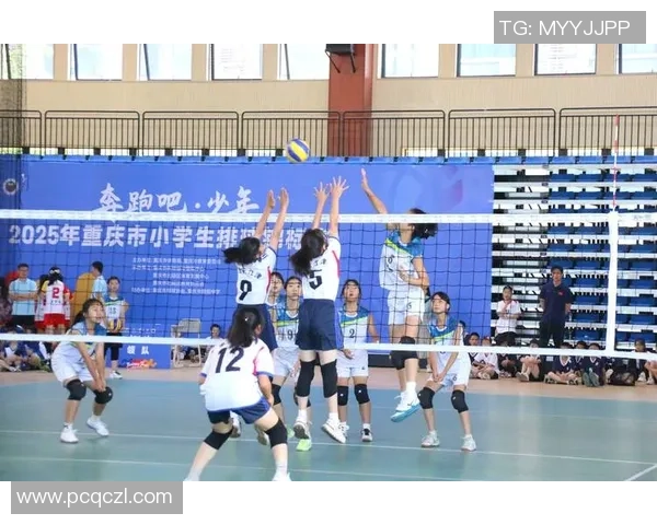 重庆排球队比赛经验分析与大满贯点评的深度探讨