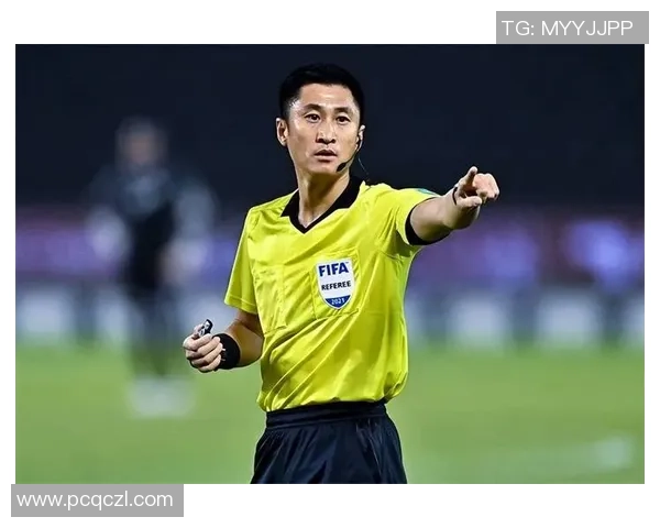 马宁执法引发争议足球明星判罚背后的故事与影响分析