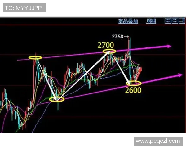 独家分析：武汉排球队的意识对比